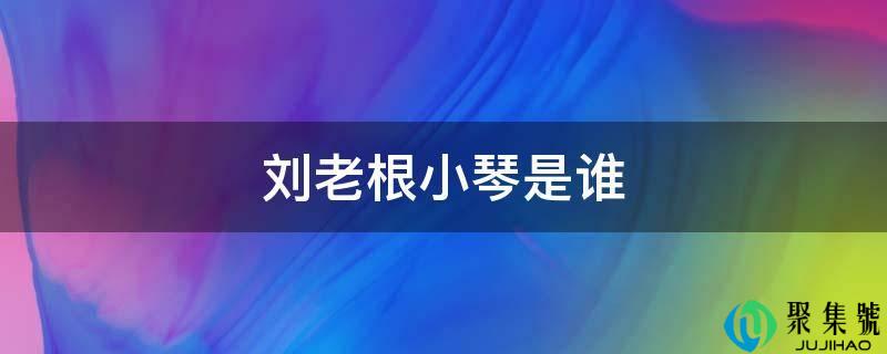 刘老根小琴是谁