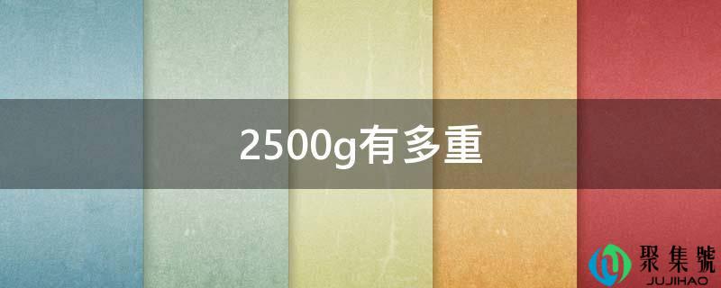 2500g有多重