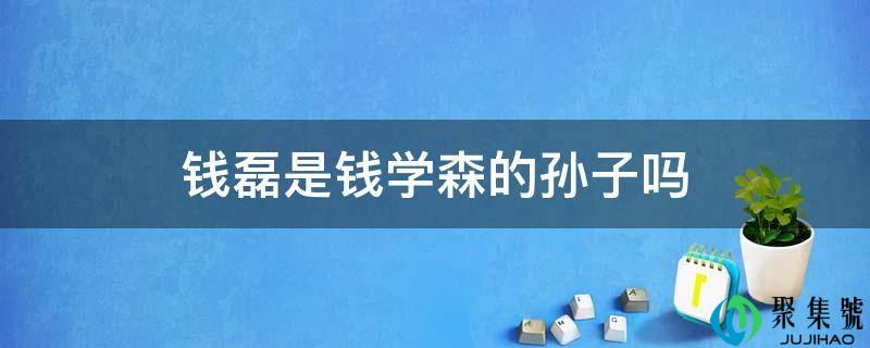 钱磊是钱学森的孙子吗