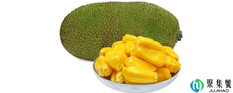 菠萝蜜摘下来没熟要如何才会熟