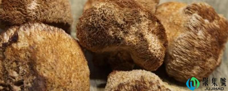 干猴头菇能够间接泡水喝吗