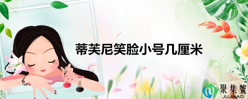 蒂芙尼笑脸小号几厘米