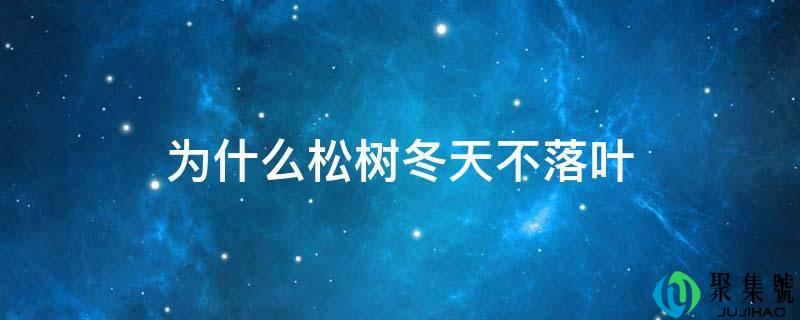 为什么松树冬天不落叶