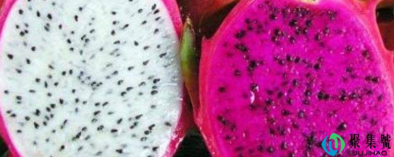 火龙果白心和红心成效