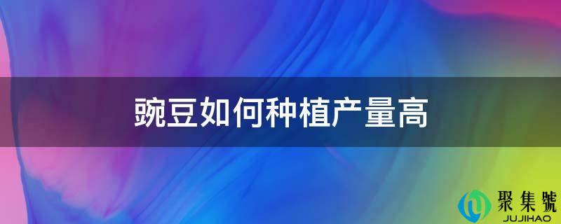 豌豆如何种植产量高