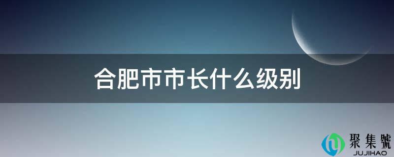 合肥市市长什么级别