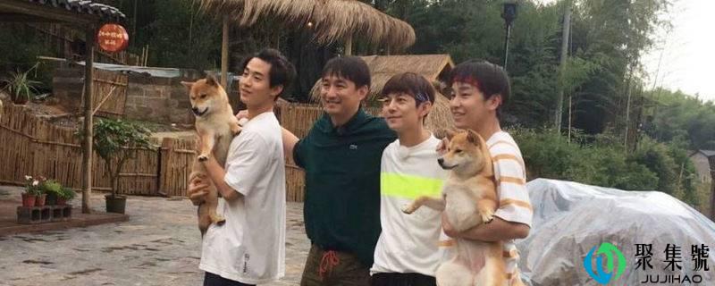 向往的生活数马游戏规则