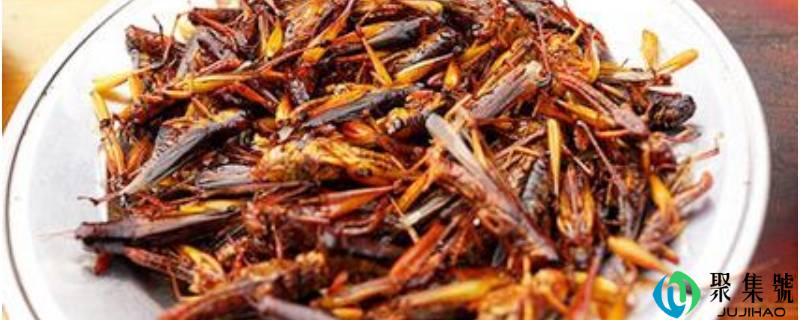 蚂蚱不去内脏能吃吗