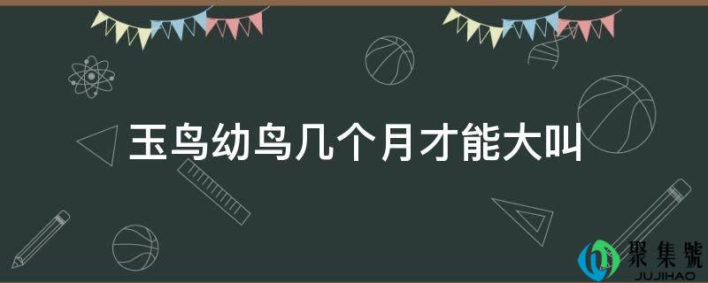 玉鸟幼鸟几个月才能大叫