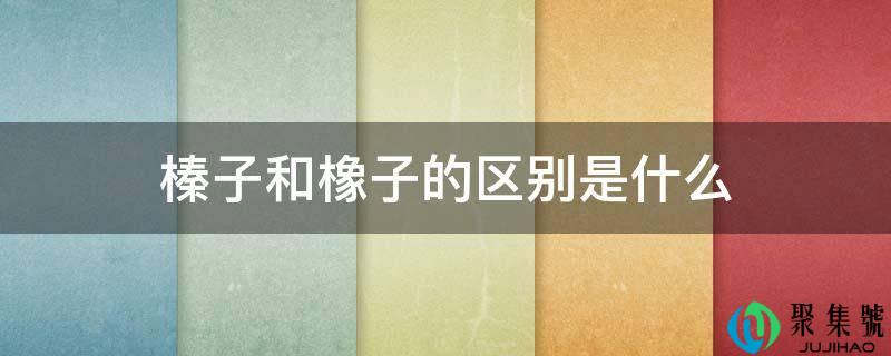 榛子和橡子的区别是什么