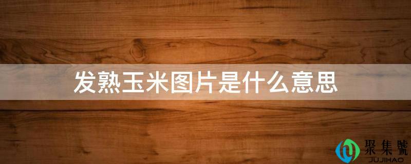 详细阅读:发熟玉米图片是什么意思 发熟玉米图片是什么意思