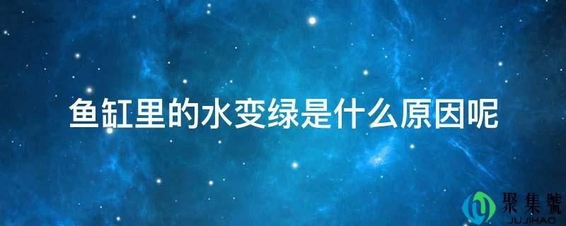 鱼缸里的水变绿是什么原因呢