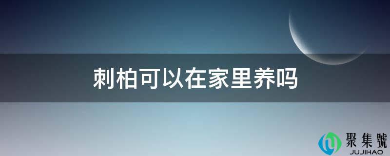 刺柏可以在家里养吗