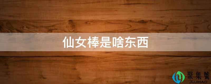 仙女棒是啥东西