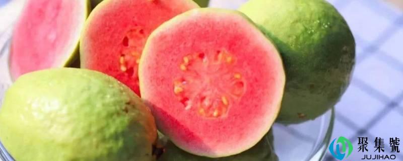 芭乐果的籽能吃吗