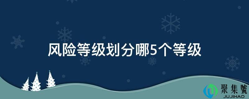 风险等级划分哪5个等级