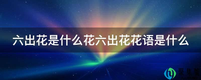 六出花是什么花六出花花语是什么