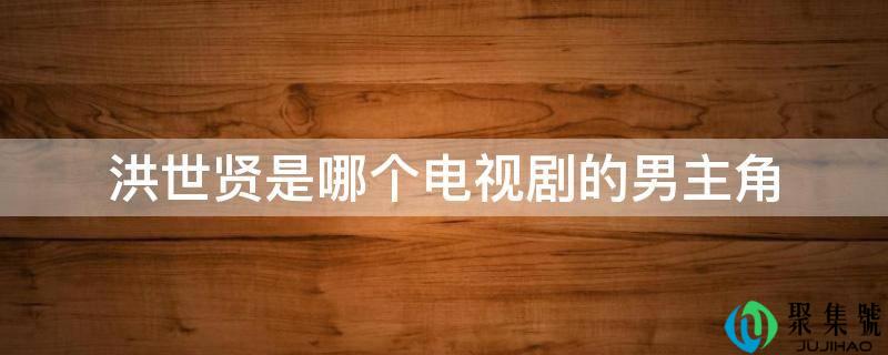 洪世贤是哪个电视剧的男主角