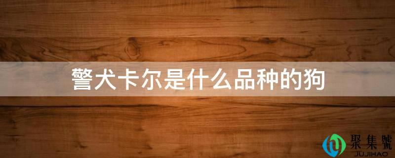 警犬卡尔是什么品种的狗