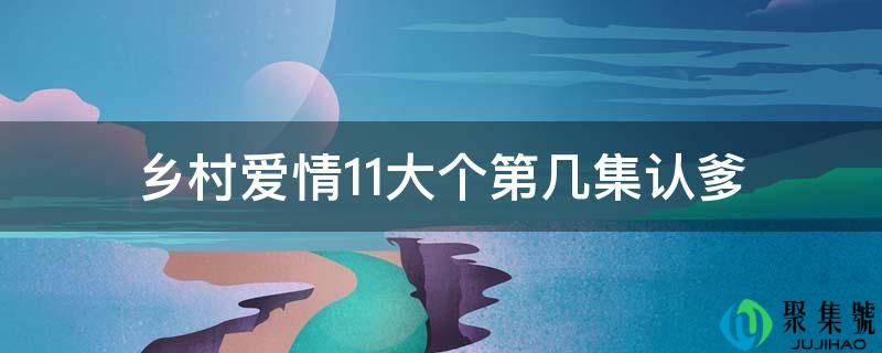 乡村爱情11大个第几集认爹