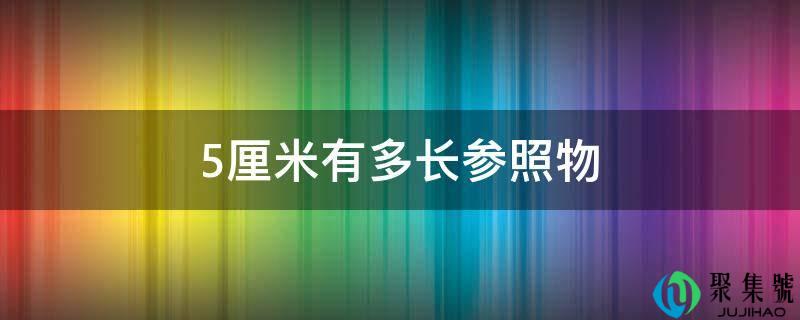 5厘米有多长参照物