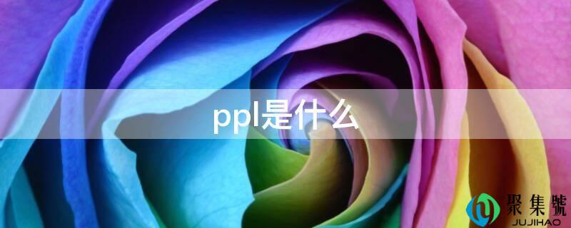 ppl是什么