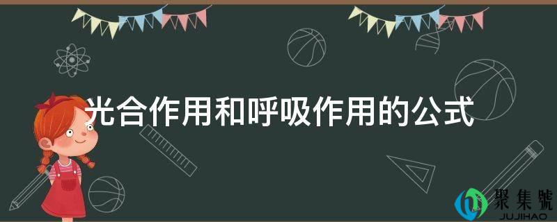 光合作用和呼吸作用的公式