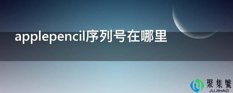 applepencil序列号在哪里