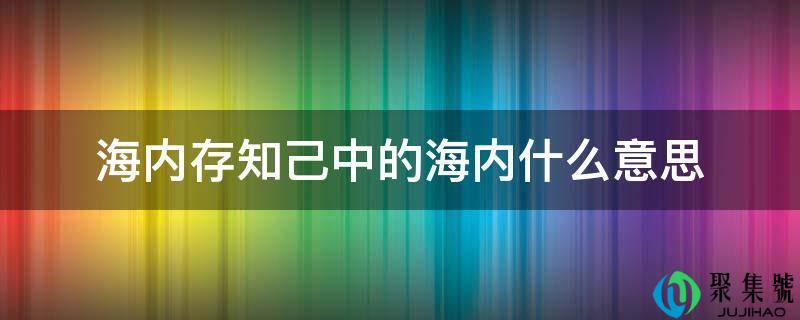 海内存知己中的海内什么意思