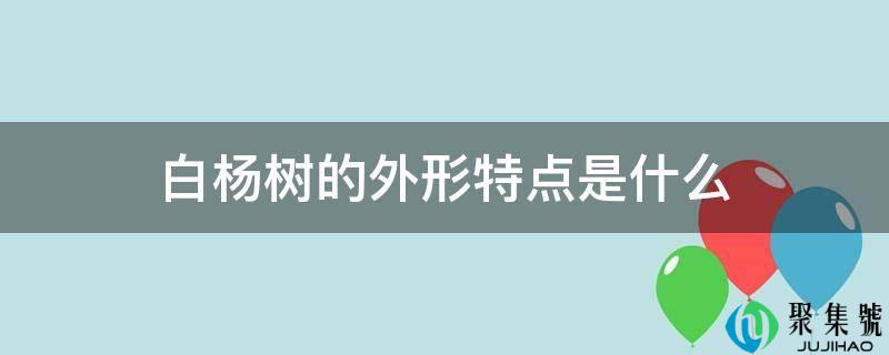 白杨树的外形特点是什么