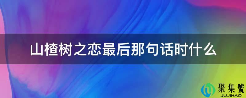 山楂树之恋最后那句话时什么
