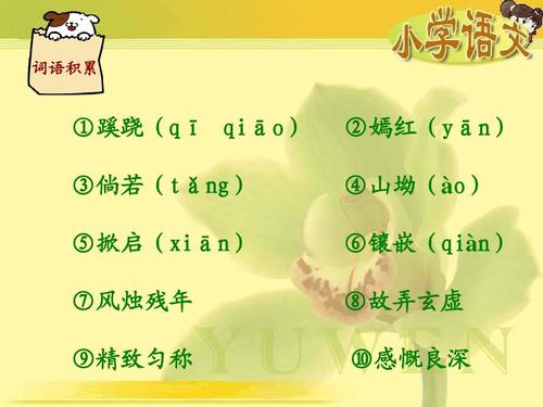 烛残年的成语(风什么残年成语)