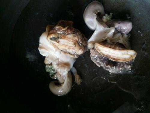 海螺要煮多久才熟(海螺煮多长时间好)