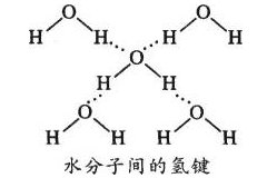 冰的密度和水的密度谁大(水的密度和冰的密度一样吗)