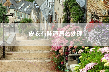 皮衣有味道怎么处理