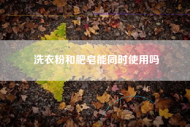 洗衣粉和肥皂能同时使用吗