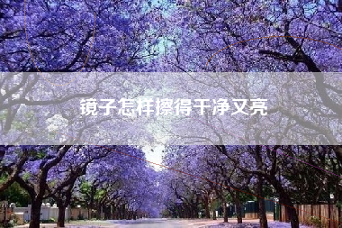 镜子怎样擦得干净又亮
