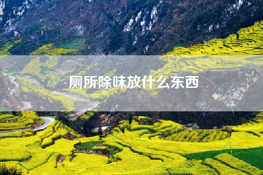 厕所除味放什么东西