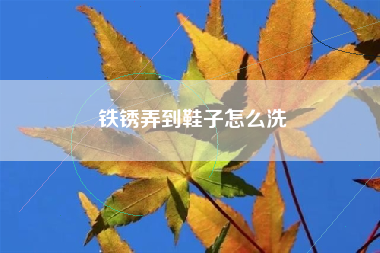 铁锈弄到鞋子怎么洗