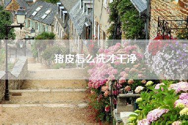 猪皮怎么洗才干净