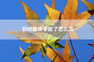 羽绒服领子脏了怎么洗