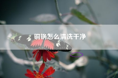 铜锅怎么清洗干净