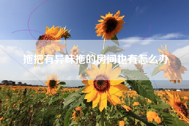 拖把有异味拖的房间也有怎么办
