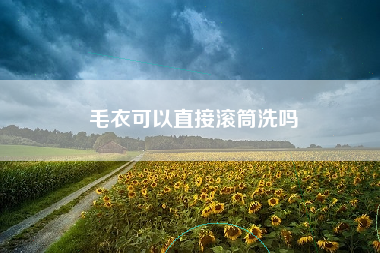 毛衣可以直接滚筒洗吗