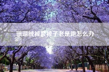 珊瑚绒被套被子老是跑怎么办
