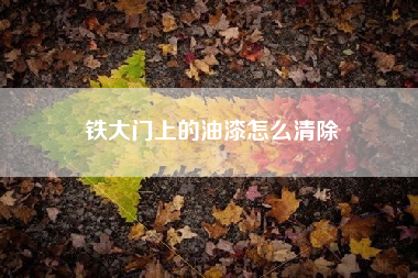 铁大门上的油漆怎么清除