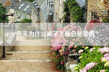 冬天为什么被子上面总是湿的
