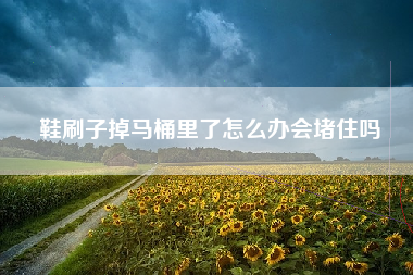 鞋刷子掉马桶里了怎么办会堵住吗