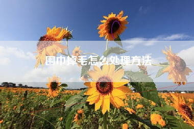 围巾掉毛怎么处理方法