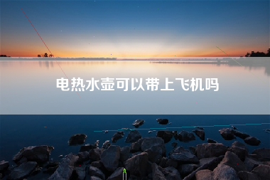 电热水壶可以带上飞机吗
